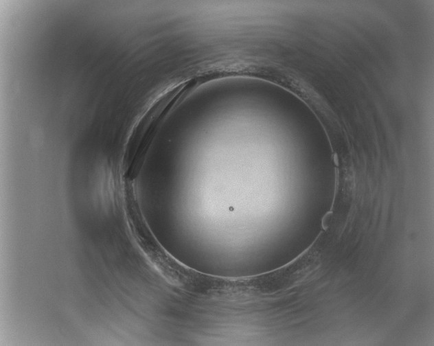 X0000062890626200601131335