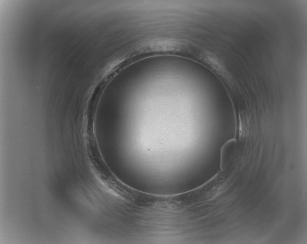 X0000062890627200601131335