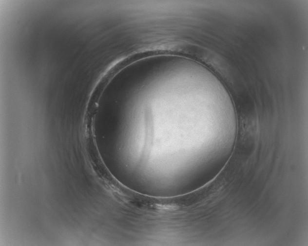 X0000062890628200601131335