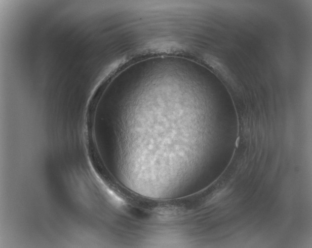 X0000062890630200601131335