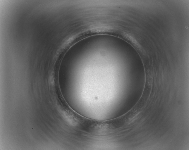 X0000062890631200601131335