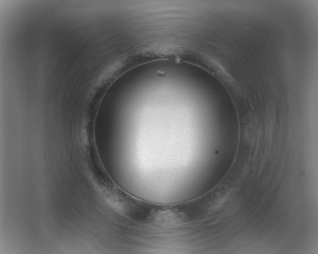 X0000062890635200601131335