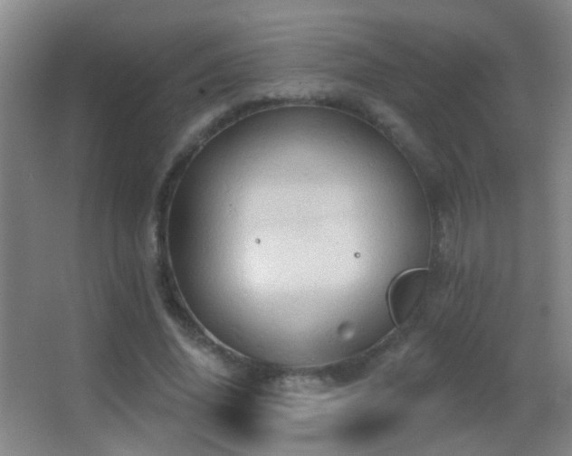 X0000062890636200601131335