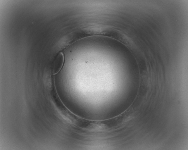 X0000062890642200601131335