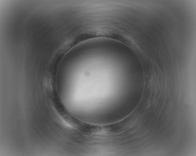 X0000062890643200601131335