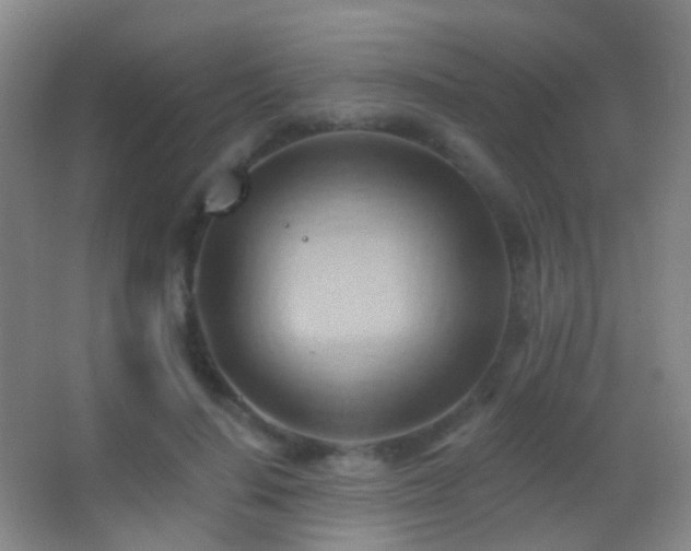 X0000062890644200601131335