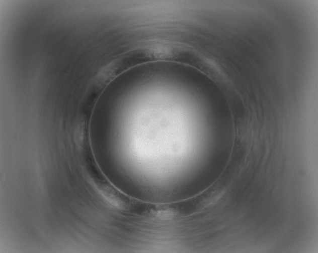 X0000062890645200601131335