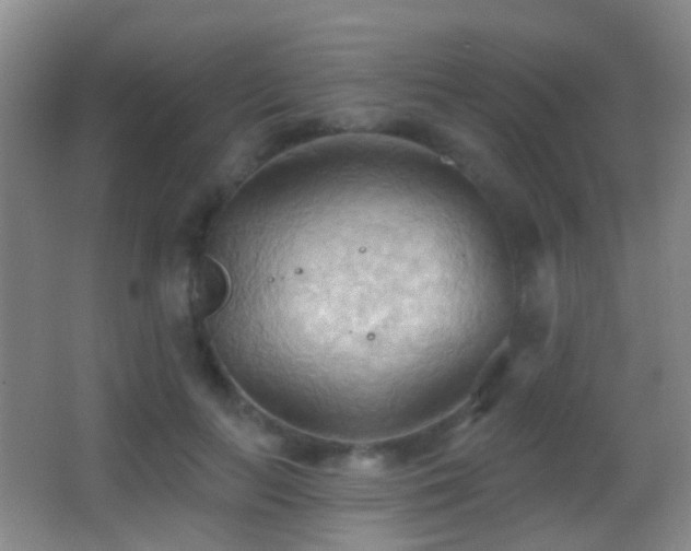 X0000062890647200601131335