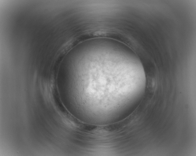 X0000062890648200601131335