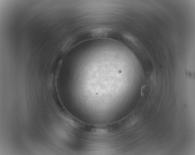 X0000062890649200601131335