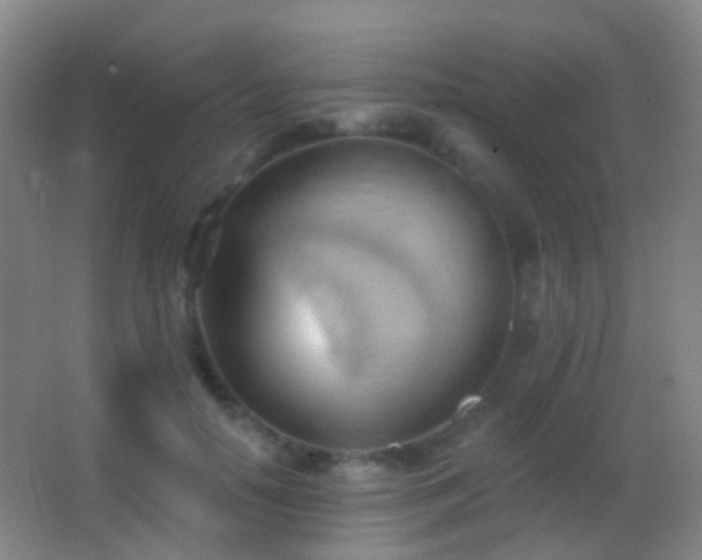 X0000062890650200601131335