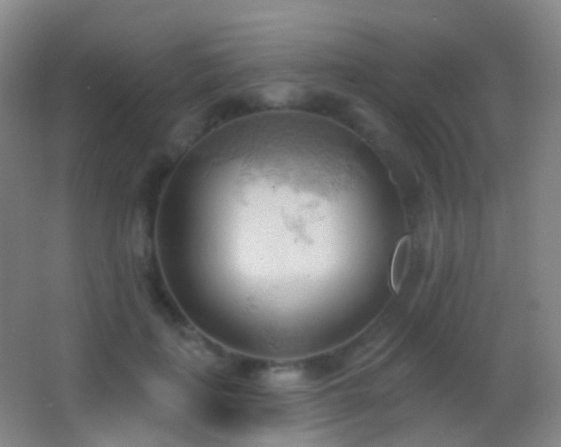 X0000062890651200601131335