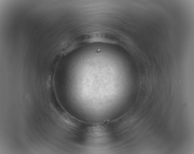 X0000062890652200601131336