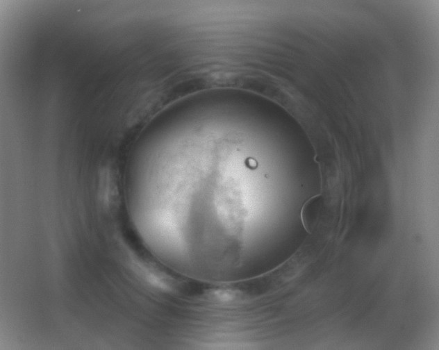 X0000062890654200601131336