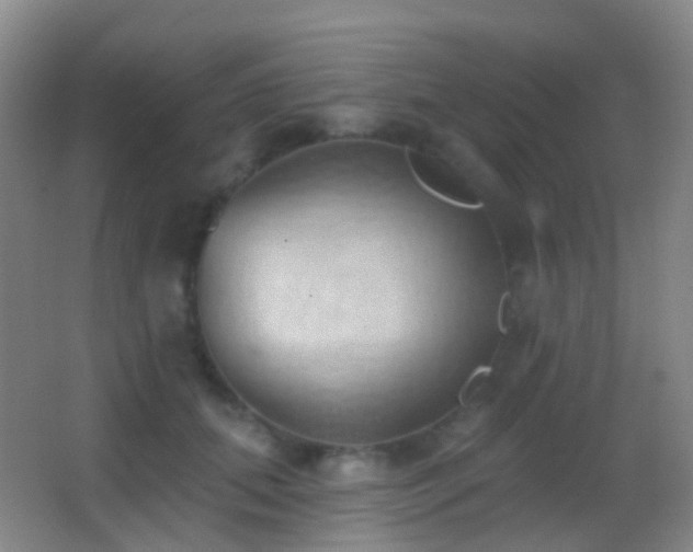 X0000062890655200601131336