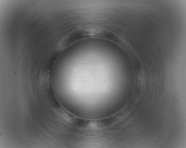 X0000062890657200601131336