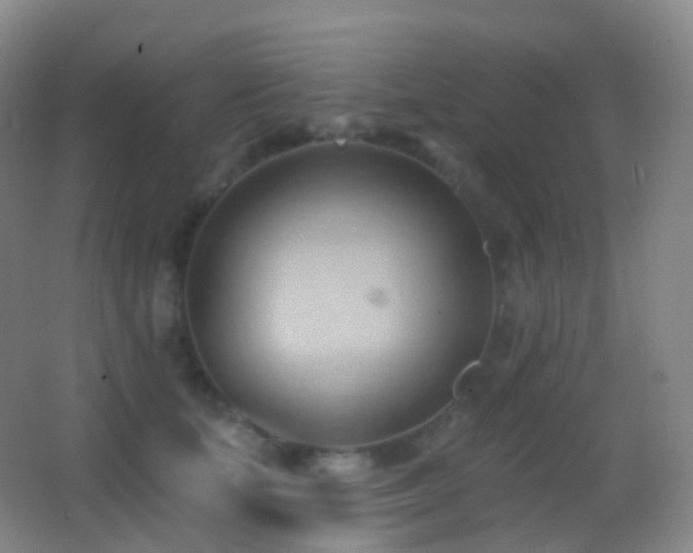 X0000062890659200601131336