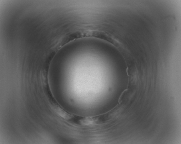 X0000062890661200601131336