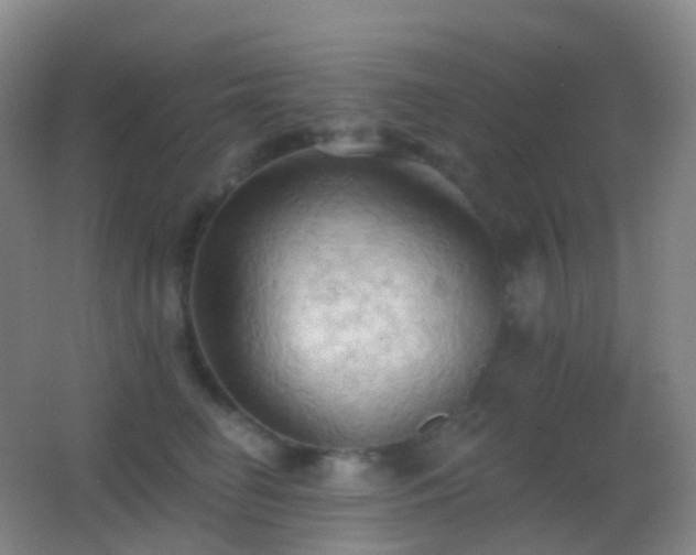 X0000062890662200601131336