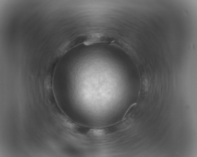 X0000062890665200601131336