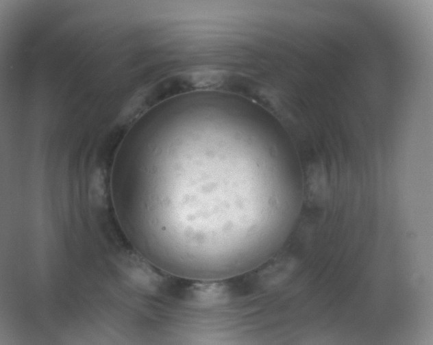 X0000062890667200601131336