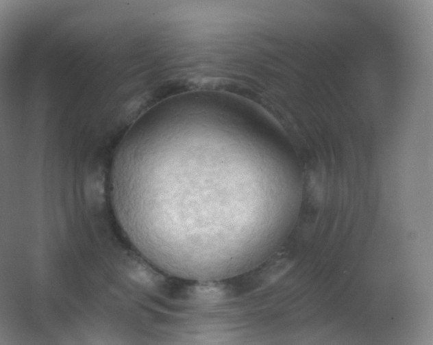 X0000062890668200601131336