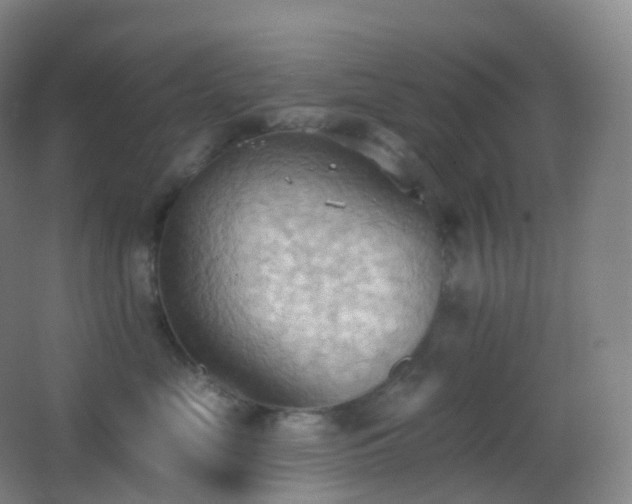 X0000062890669200601131336