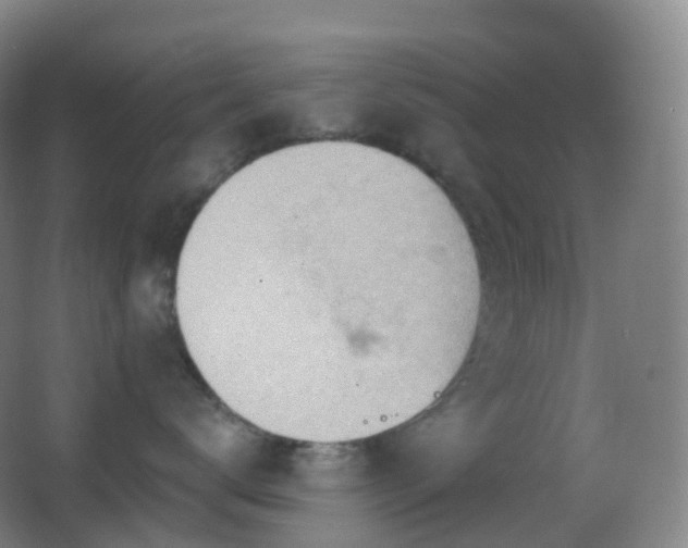 X0000062890672200601131336