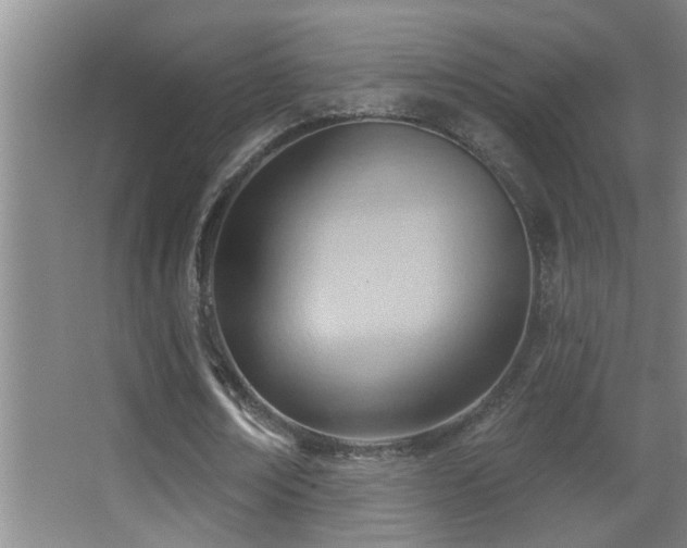 X0000062890674200601131335