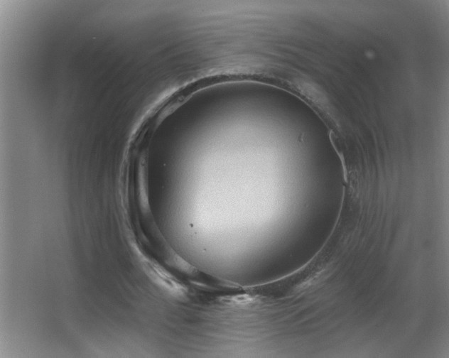 X0000062890676200601131335