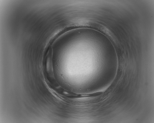 X0000062890677200601131335