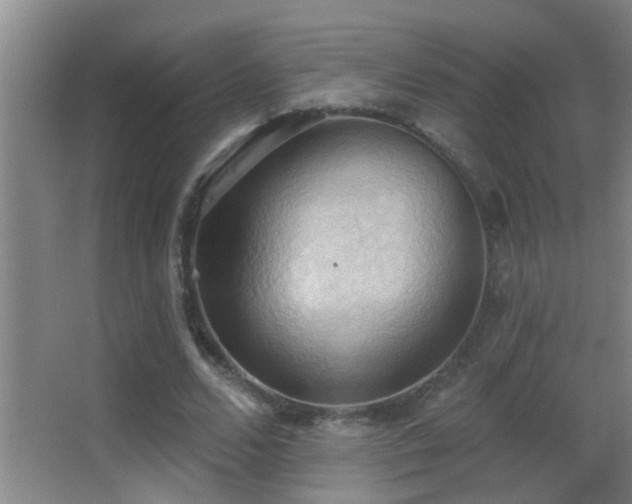 X0000062890680200601131335