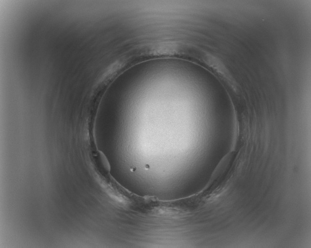 X0000062890681200601131335