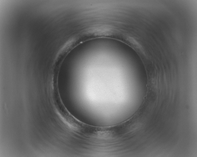 X0000062890686200601131335