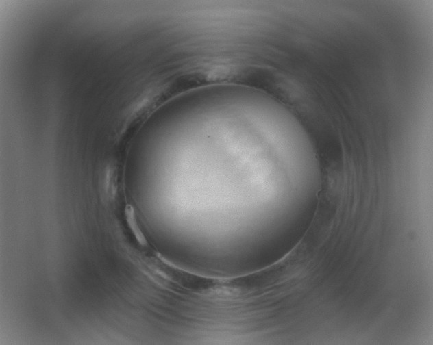 X0000062890691200601131335