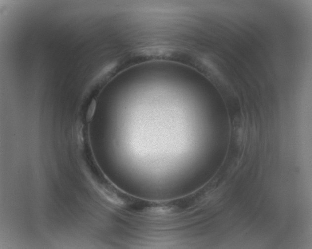 X0000062890692200601131335