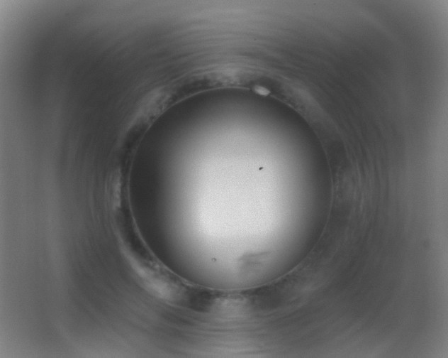 X0000062890694200601131335