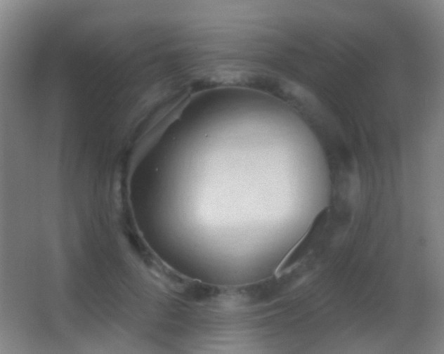 X0000062890696200601131335