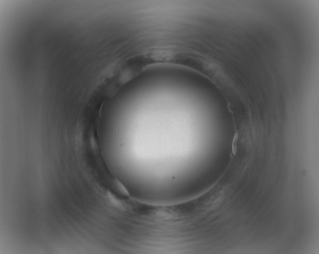 X0000062890697200601131335