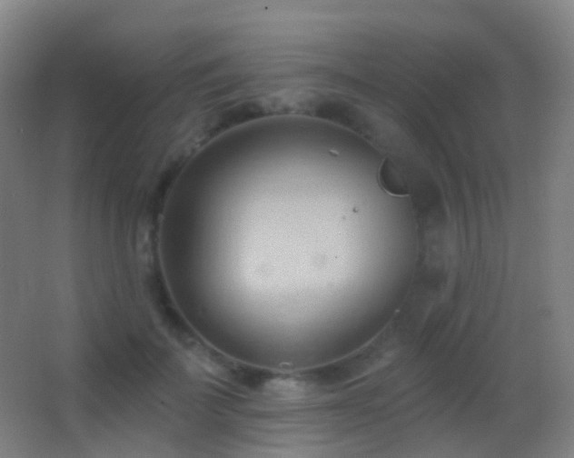 X0000062890699200601131335