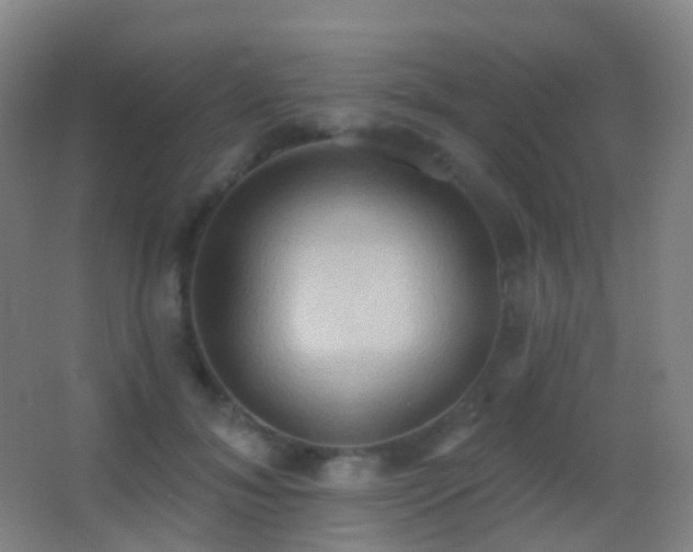 X0000062890700200601131335