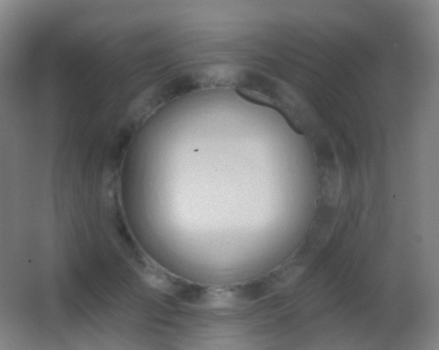 X0000062890701200601131335