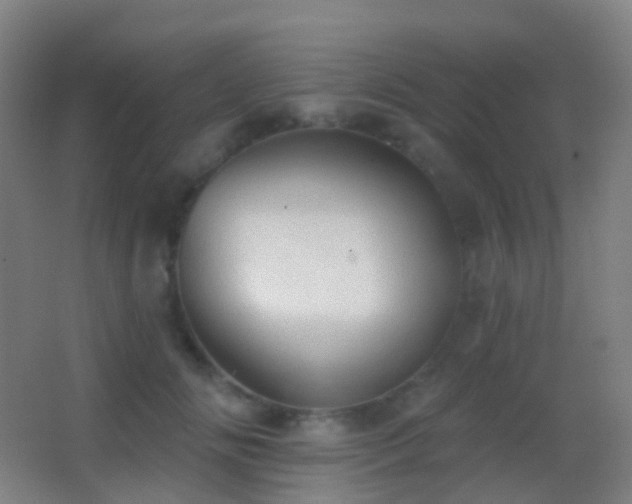 X0000062890702200601131335