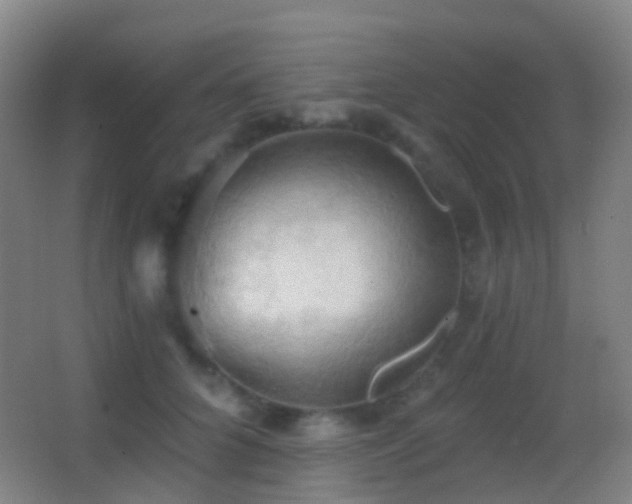 X0000062890704200601131335