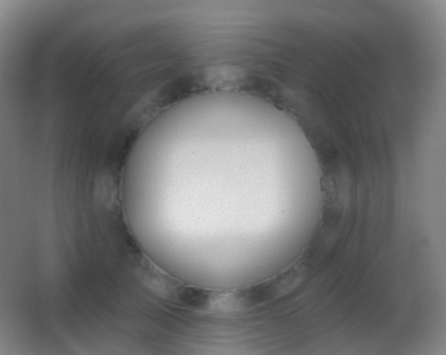 X0000062890705200601131334