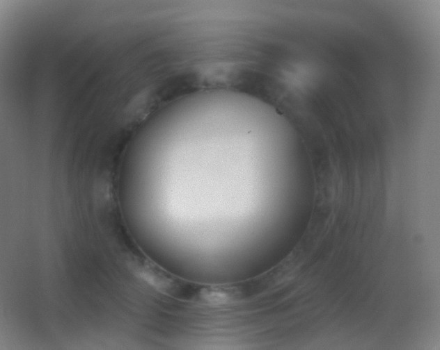 X0000062890706200601131334