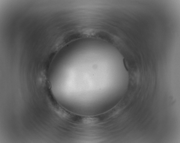 X0000062890707200601131334