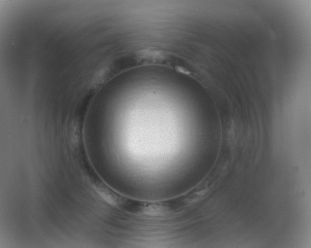 X0000062890708200601131334