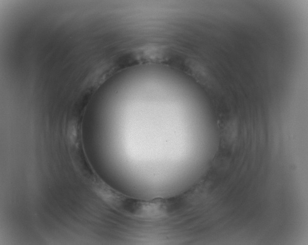 X0000062890709200601131334