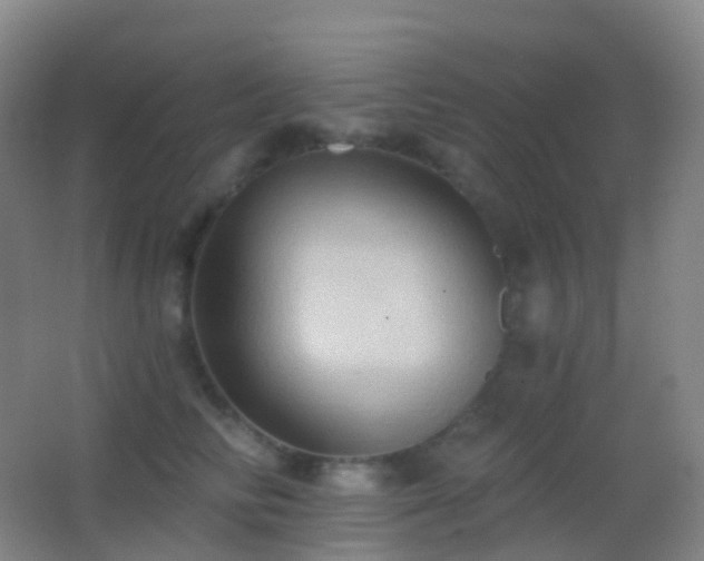 X0000062890710200601131334